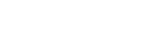 Fiziu Logo